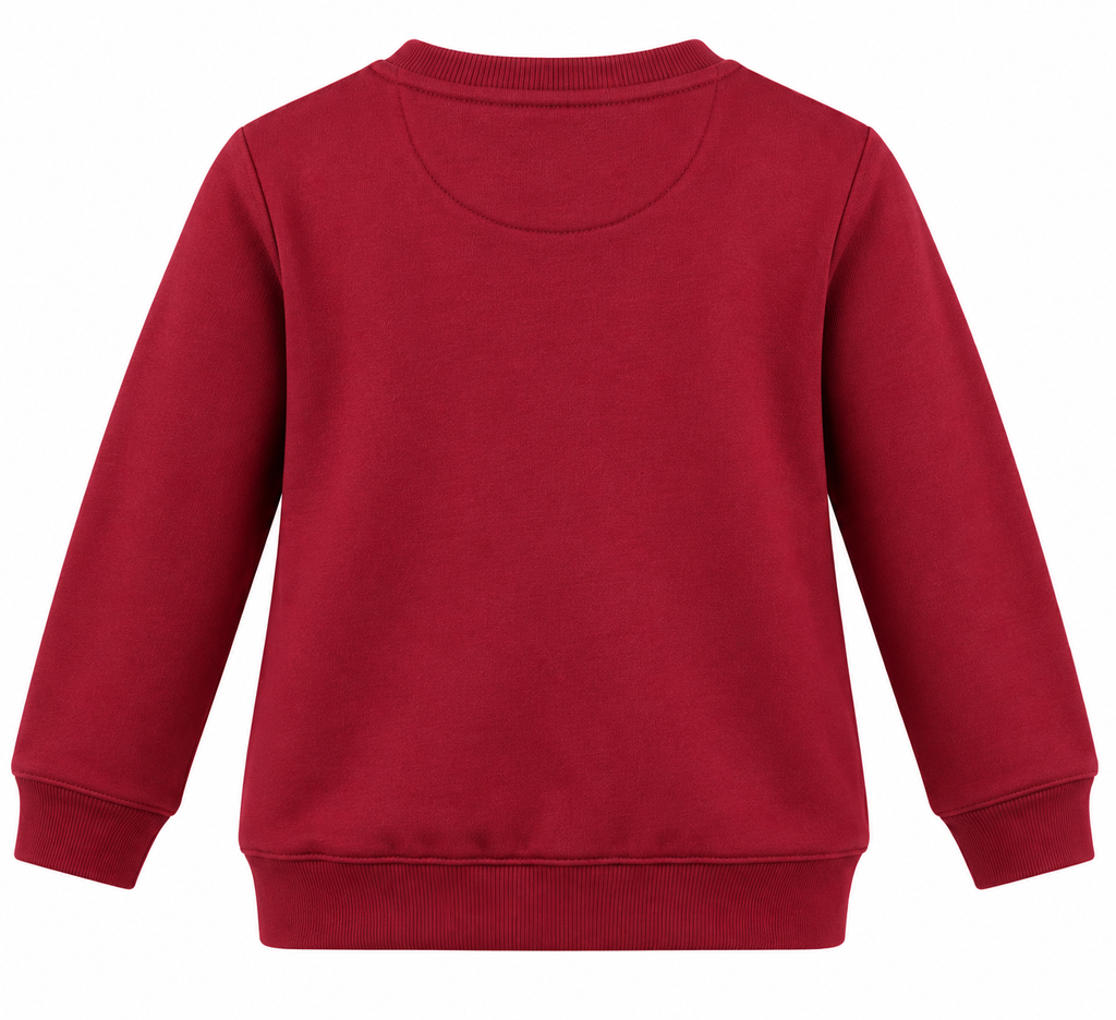 Boys Burgundy No Pain No Gain Full Sleeve Winter Sweatshirt