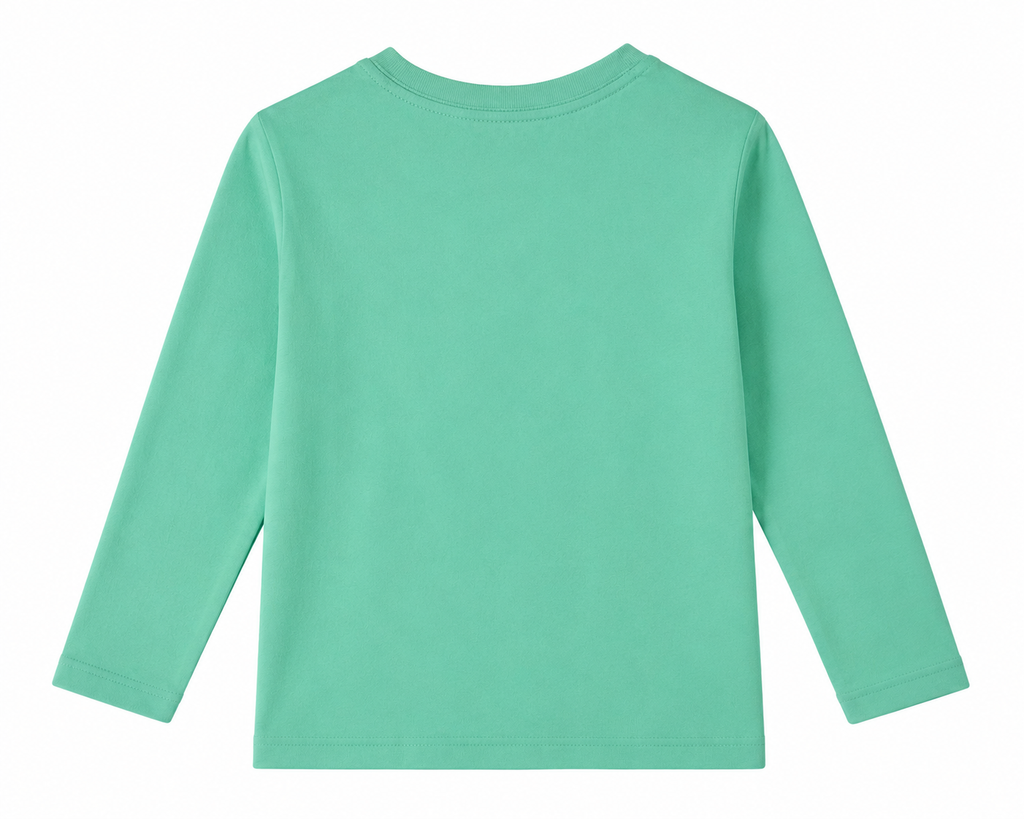 Reekaz Boys Mint Green Full Sleeve Graphic T-Shirt – Soft Cotton Casual Kids Tee
