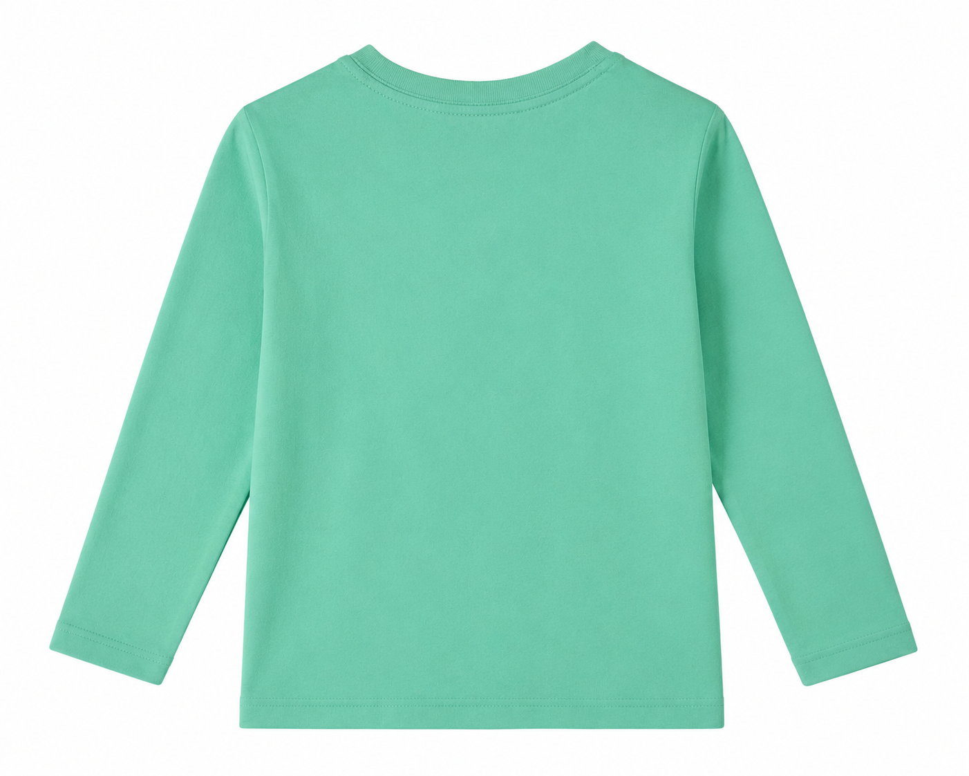 Reekaz Boys Mint Green Full Sleeve Graphic T-Shirt – Soft Cotton Casual Kids Tee