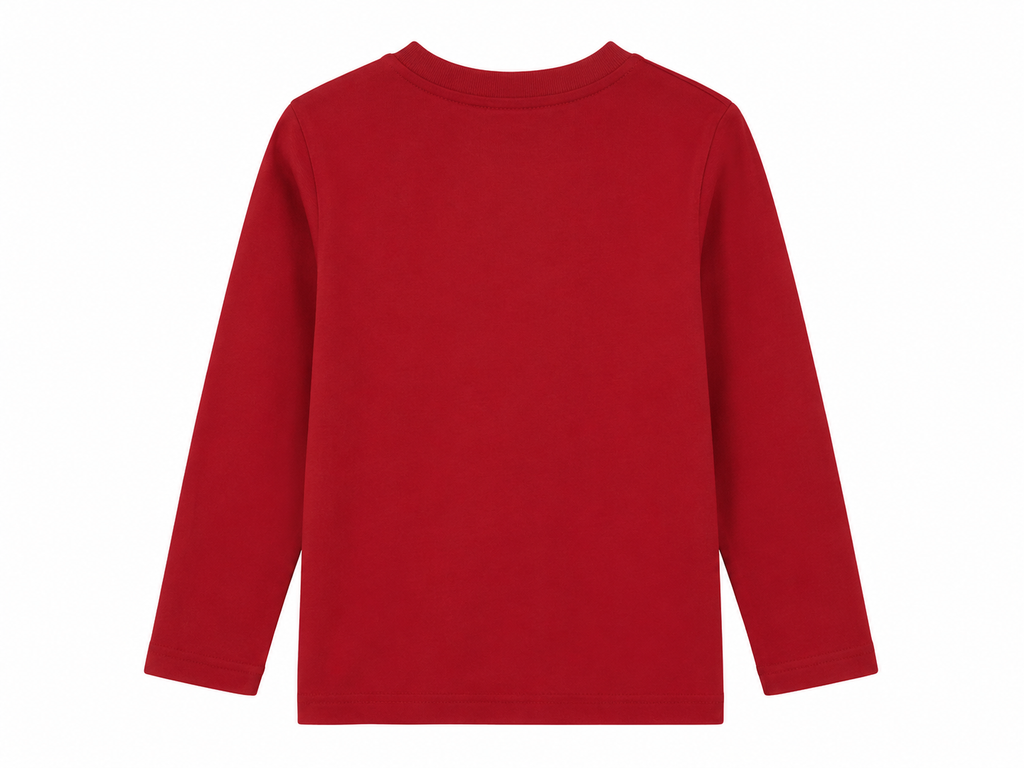 Reekaz Boys Red Full Sleeve T-Shirt – "Life is a Journey Enjoy the Ride" Graphic Cotton Tee