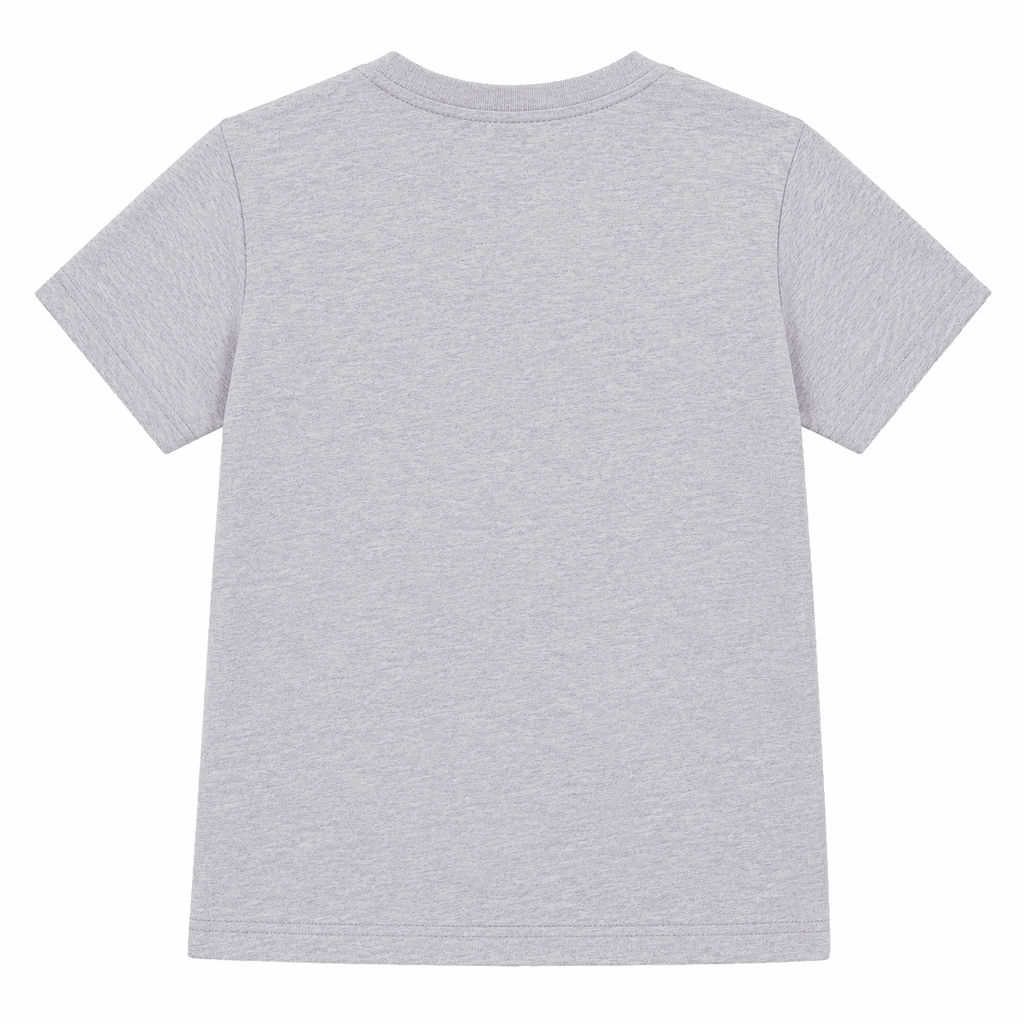 Reekaz Boys Grey Dinosaur T-Shirt | Roar Graphic Cotton Half Sleeve Tee | Kids Casual Summer Shirt (1-12 Years)