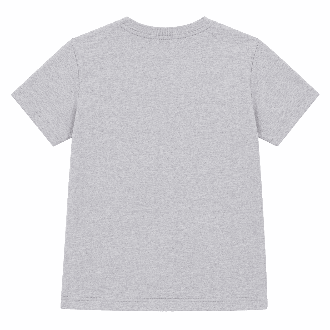 Reekaz Boys Grey Dinosaur T-Shirt | Roar Graphic Cotton Half Sleeve Tee | Kids Casual Summer Shirt (1-12 Years)